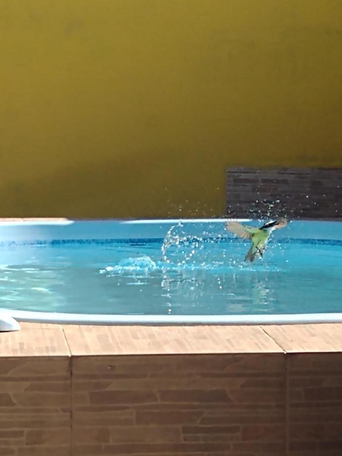 Casa Aconchegante Com Piscina E Churrasqueira Cabo Frio